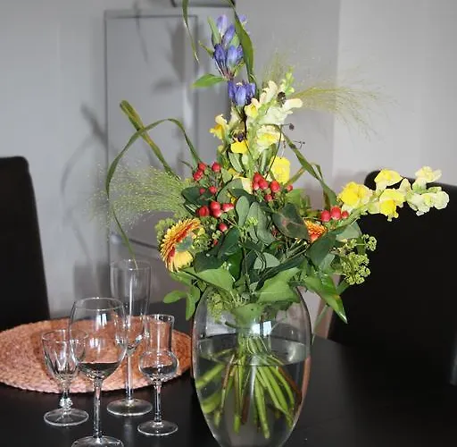 5 Fewo's Harztraum In Innenstadt Mit Kostenlosem Parkplatz Von Harztraveler *